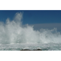 รูปถ่าย แอฟริกาใต้(South Africa) อุทยานแห่งชาติซิตซิคัมมา(Tsitsikamma National Park) 2008-09 269