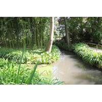 รูปถ่าย ฝรั่งเศส(France) ฌีแวร์นี(Giverny) 2013-06 63
