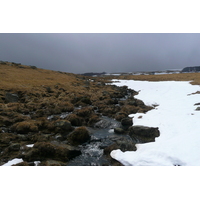 รูปถ่าย ฝรั่งเศส(France) โอบรัก(L'Aubrac) 2008-04 89