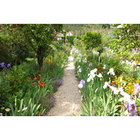 รูปถ่าย ฝรั่งเศส(France) ฌีแวร์นี(Giverny) 2013-06 210