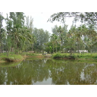 รูปถ่าย ไทย(Thailand) เขาหลัก(Khao Lak) หาดบางสัก(Bang Sak Beach) 2005-12 5