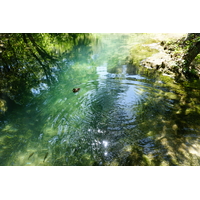 รูปถ่าย โครเอเชีย(Croatia) อุทยานแห่งชาติเคอร์คา(Krka National Park) 2016-04 87