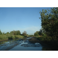 รูปถ่าย รัสเซีย(Russia) จากซูซดัลไปยาโรสลาฟล์(From Suzdal to Yaroslavl) 2006-07 17