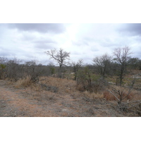 รูปถ่าย แอฟริกาใต้(South Africa) อุทยานแห่งชาติครูเกอร์(Kruger National Park) 2008-09 120