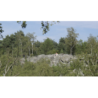 รูปถ่าย ฝรั่งเศส(France) ฟงเทนโบล(Fontainebleau) ทัวร์ป่า(Circuit des 25 bosses) 2007-08 104