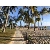 รูปถ่าย กวาเดอลูป(Guadeloupe) หาดลาการาแวล(La Caravelle Beach) 2021-02 129