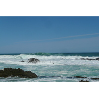 รูปถ่าย แอฟริกาใต้(South Africa) อุทยานแห่งชาติซิตซิคัมมา(Tsitsikamma National Park) 2008-09 176
