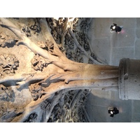 รูปถ่าย ฝรั่งเศส(France) ปารีส(Paris) โรงแรมเดอบูร์กอญ(Hotel de Bourgogne) 2013-06 49