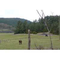 รูปถ่าย ฝรั่งเศส(France) โอบรัก(L'Aubrac) 2008-04 109