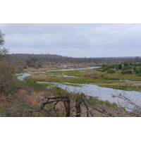 รูปถ่าย แอฟริกาใต้(South Africa) อุทยานแห่งชาติครูเกอร์(Kruger National Park) แม่น้ำครอกโคไดล์(Crocodile River) 2008-09 54