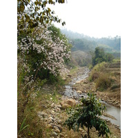 รูปถ่าย ไทย(Thailand) ถนนจากปางมะผ้าไปปาย(Pang Mapha to Pai road) 2007-02 10
