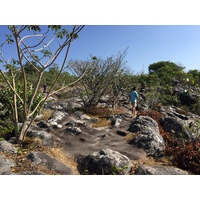 รูปถ่าย ไทย(Thailand) อุทยานแห่งชาติภูหินร่องกล้า(Phu Hin Rong Kla National Park) 2014-12 254