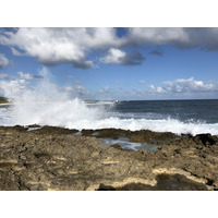 รูปถ่าย กวาเดอลูป(Guadeloupe) แหลมคาสเซิลพอยต์(Castle Point) 2021-02 89
