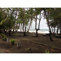 รูปถ่าย คอสตาริกา(Costa Rica) ปวยร์โตเบียโฆเดตาลามังกา(Puerto Viejo de Talamanca) 2015-03 75