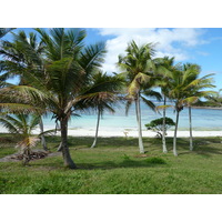 รูปถ่าย นิวแคลิโดเนีย(New Caledonia) เกาะลีฟู(Lifou) 2010-05 30