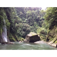 รูปถ่าย คอสตาริกา(Costa Rica) แม่น้ำปากัวเร(Pacuare River) 2015-03 192