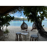 รูปถ่าย ไทย(Thailand) เกาะพีพีดอน(Ko Phi Phi Don) 2021-12 108
