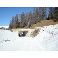 รูปถ่าย สวิสเซอร์แลนด์(Switzerland) ปองเทรซีน่า(Pontresina) 2007-01 42