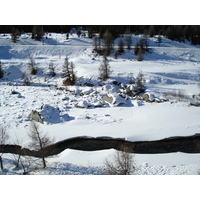 รูปถ่าย สวิสเซอร์แลนด์(Switzerland) ปองเทรซีน่า(Pontresina) 2007-01 29