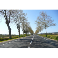 รูปถ่าย ฝรั่งเศส(France) โพรว็องส์(Provence) ถนนไปอาเลส(road to Ales) 2008-04 4