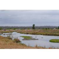 รูปถ่าย แอฟริกาใต้(South Africa) อุทยานแห่งชาติครูเกอร์(Kruger National Park) แม่น้ำครอกโคไดล์(Crocodile River) 2008-09 37