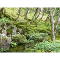 รูปถ่าย ญี่ปุ่น(Japan) เกียวโต(Kyoto) วัดกินกะกุจิ (ศาลาเงิน)(Ginkakuji Temple(Silver Pavilion)) 2010-06 19