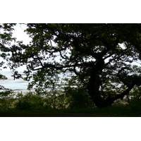 รูปถ่าย ฝรั่งเศส(France) ถนนในบริตตานี(Brittany roads) 2007-08 28