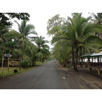 รูปถ่าย คอสตาริกา(Costa Rica) ปวยร์โตเบียโฆเดตาลามังกา(Puerto Viejo de Talamanca) 2015-03 87