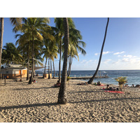 รูปถ่าย กวาเดอลูป(Guadeloupe) หาดลาการาแวล(La Caravelle Beach) 2021-02 76