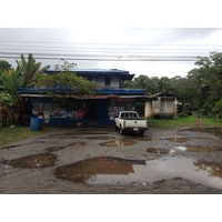 รูปถ่าย คอสตาริกา(Costa Rica) ปวยร์โตเบียโฆเดตาลามังกา(Puerto Viejo de Talamanca) 2015-03 93