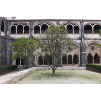 รูปถ่าย โปรตุเกส(Portugal) อัลโกบาซา(Alcobaca) 2013-01 51