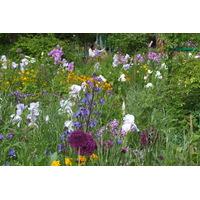 รูปถ่าย ฝรั่งเศส(France) ฌีแวร์นี(Giverny) 2013-06 253
