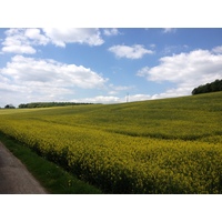 รูปถ่าย ฝรั่งเศส(France) ลียงส์-ลา-ฟอแร(Lyons La Foret) 2014-05 33