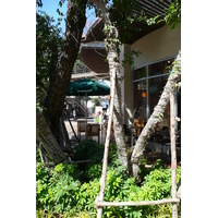 รูปถ่าย ไทย(Thailand) พัทยา(Pattaya) ถนนพัทยาอเวนิว(Pattaya Avenue) 2008-01 53