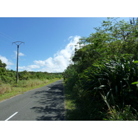 รูปถ่าย นิวแคลิโดเนีย(New Caledonia) เกาะลีฟู(Lifou) 2010-05 10