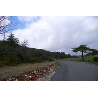 รูปถ่าย ฝรั่งเศส(France) โอบรัก(L'Aubrac) 2008-04 65