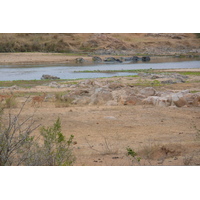 รูปถ่าย แอฟริกาใต้(South Africa) อุทยานแห่งชาติครูเกอร์(Kruger National Park) แม่น้ำครอกโคไดล์(Crocodile River) 2008-09 31
