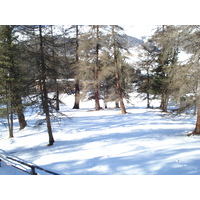 รูปถ่าย สวิสเซอร์แลนด์(Switzerland) ปองเทรซีน่า(Pontresina) 2007-01 43