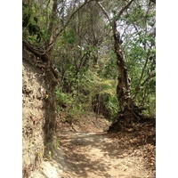 รูปถ่าย คอสตาริกา(Costa Rica) มอนเตซูมา(Montezuma) 2015-03 112