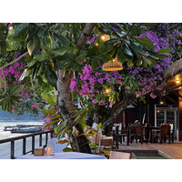 รูปถ่าย ไทย(Thailand) เกาะพีพีดอน(Ko Phi Phi Don) 2021-12 17