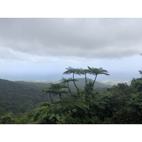 รูปถ่าย กวาเดอลูป(Guadeloupe) น้ำตกการ์เบ(Carbet Falls) 2021-02 48