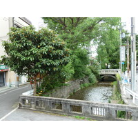รูปถ่าย ญี่ปุ่น(Japan) เกียวโต(Kyoto) 2010-06 81