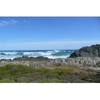 รูปถ่าย แอฟริกาใต้(South Africa) อุทยานแห่งชาติซิตซิคัมมา(Tsitsikamma National Park) 2008-09 73