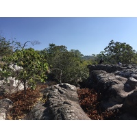 รูปถ่าย ไทย(Thailand) อุทยานแห่งชาติภูหินร่องกล้า(Phu Hin Rong Kla National Park) 2014-12 258