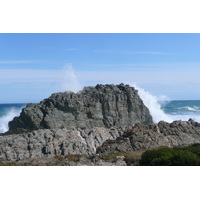 รูปถ่าย แอฟริกาใต้(South Africa) อุทยานแห่งชาติซิตซิคัมมา(Tsitsikamma National Park) 2008-09 1