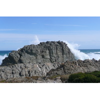 รูปถ่าย แอฟริกาใต้(South Africa) อุทยานแห่งชาติซิตซิคัมมา(Tsitsikamma National Park) 2008-09 72