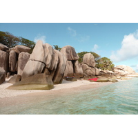 รูปถ่าย เซเชลส์(Seychelles) เกาะโกโก้(Coco Island) 2011-10 29