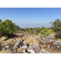 รูปถ่าย ไทย(Thailand) อุทยานแห่งชาติภูหินร่องกล้า(Phu Hin Rong Kla National Park) 2014-12 208