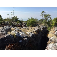รูปถ่าย ไทย(Thailand) อุทยานแห่งชาติภูหินร่องกล้า(Phu Hin Rong Kla National Park) 2014-12 214