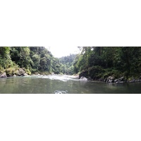 รูปถ่าย คอสตาริกา(Costa Rica) แม่น้ำปากัวเร(Pacuare River) 2015-03 121